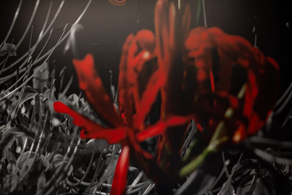 Large printed mural of a red flower against a black and white grass background