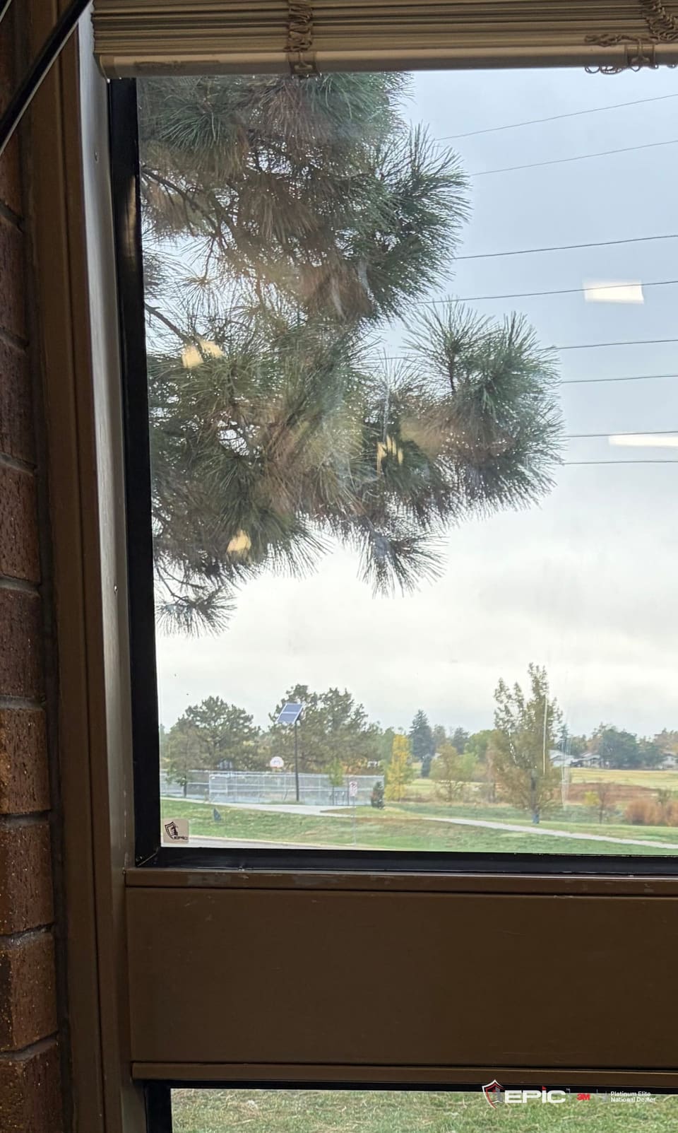 The same classroom window before the film: both lites clear, the sidewalk and lawn visible through the lower lite
