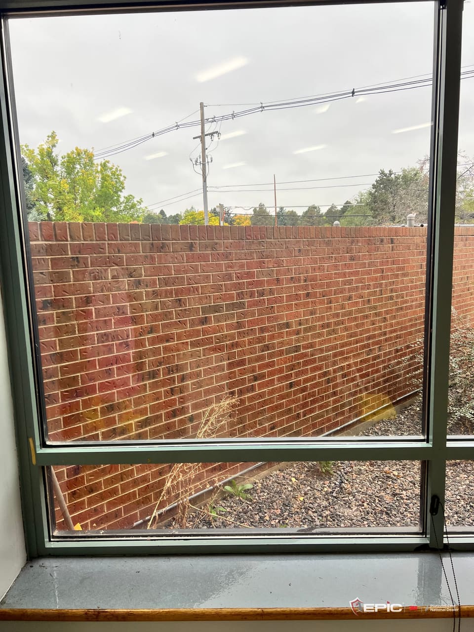 A cafeteria window at a Cherry Creek school with 3M S2400 on the glass, looking out at a brick wall