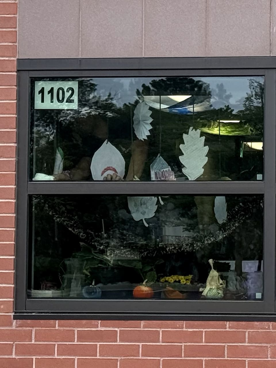Classroom window 1102 at a Colorado elementary school: a double-sided room number on film-safe media over the security film, readable from outside